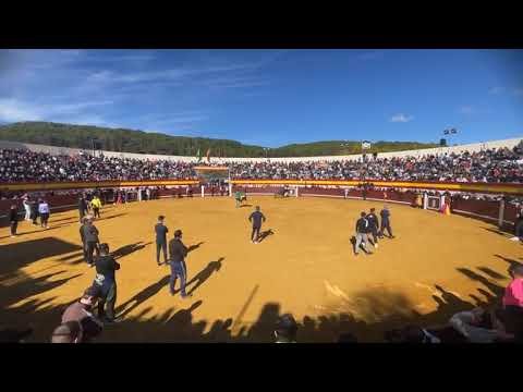 🔴 DIRECTO ENCIERRO y CAPEA VALDILECHA 8-11-25 (Documental, informativo cultura española taurina)