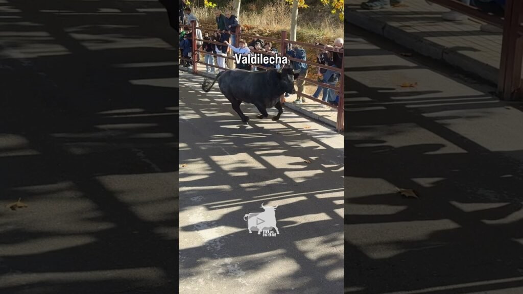 Primer toro encierro de Valdilecha #shorts
