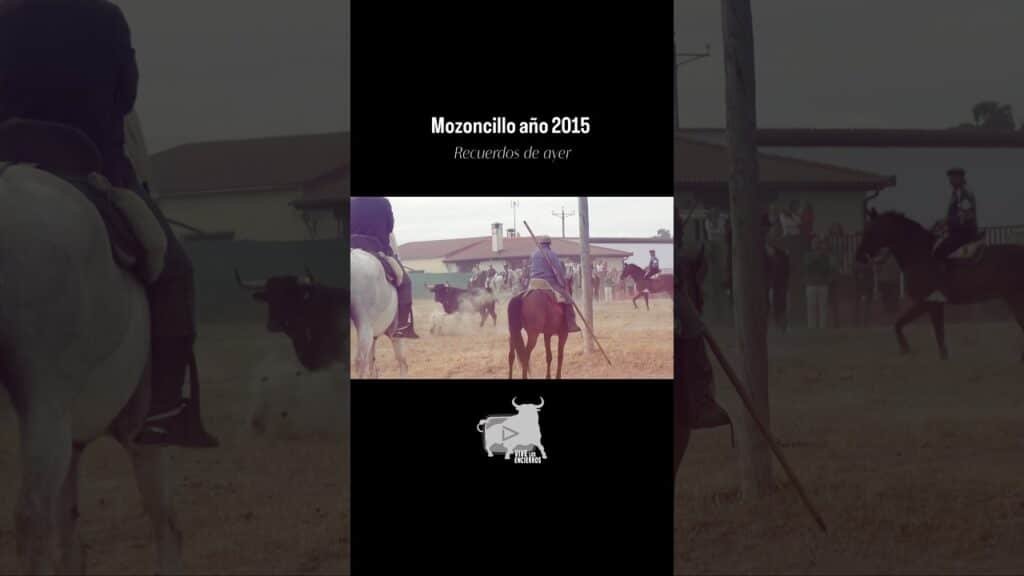 Toro desafiando en el embudo #shorts