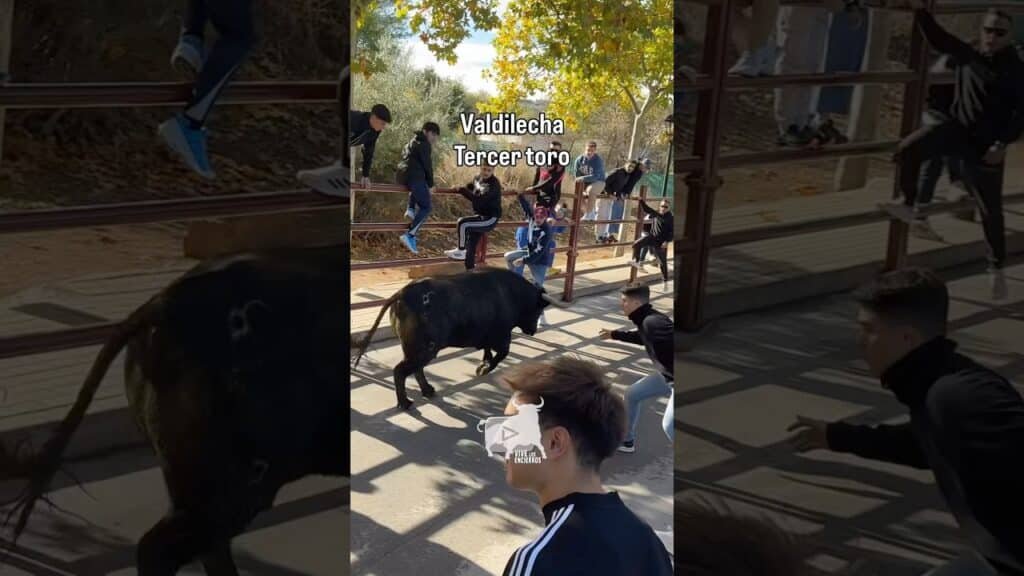 Tercer toro encierro Valdilecha #shorts