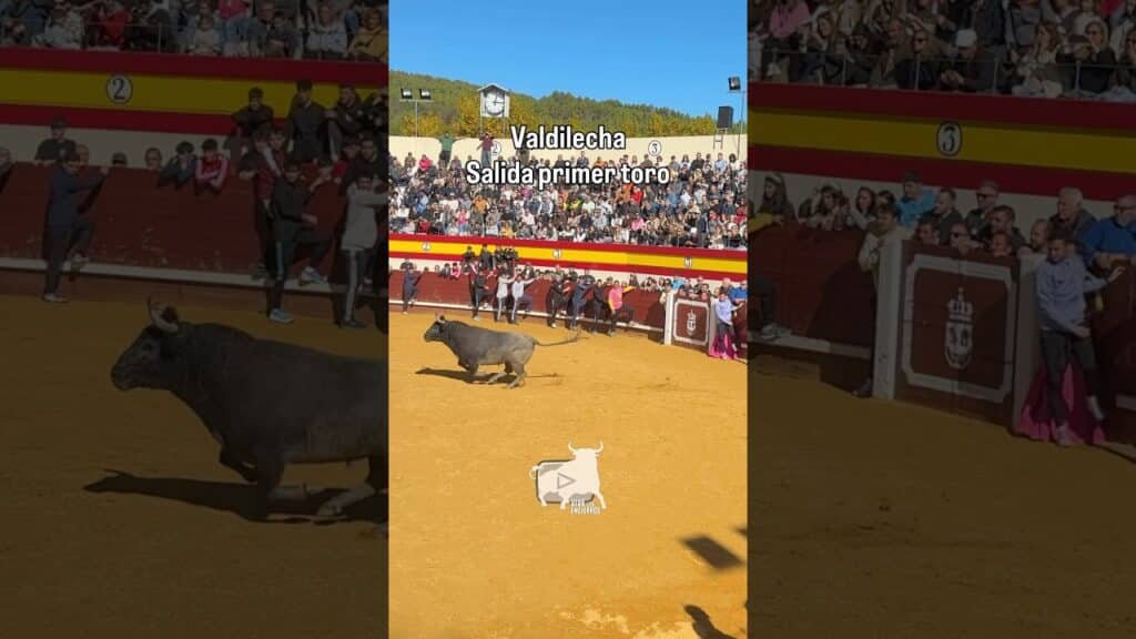 Salida primer toro Valdichela #shorts
