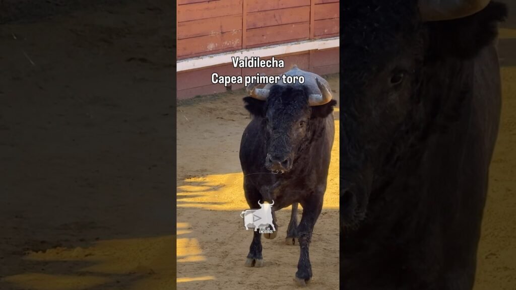 10 de noviembre de 2025