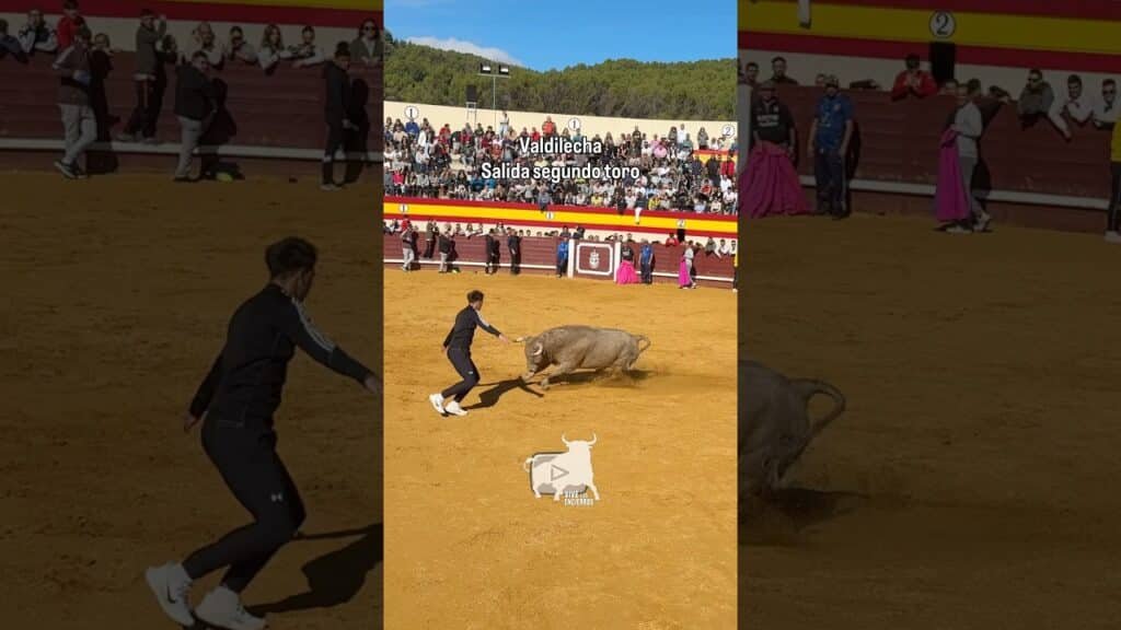 Salida toro jabonero Valdilecha