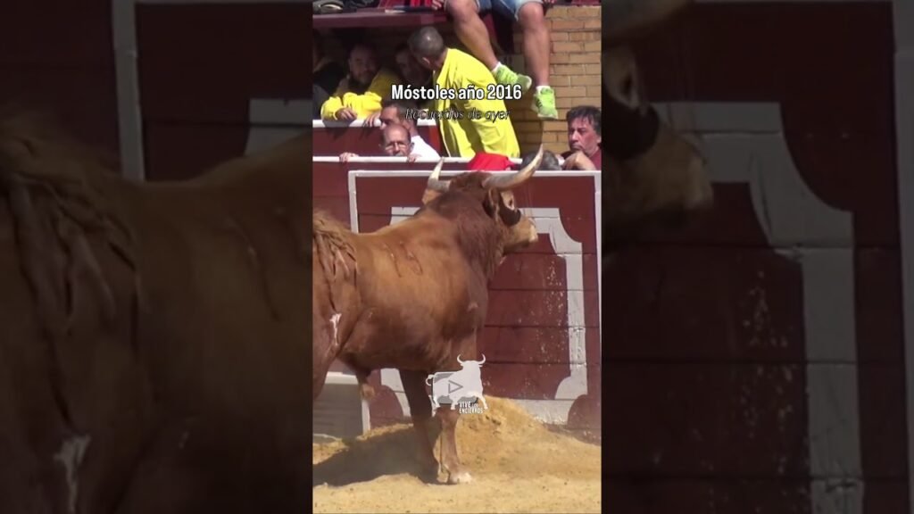 El Peque haciendo de las suyas en Móstoles 2016 #shorts