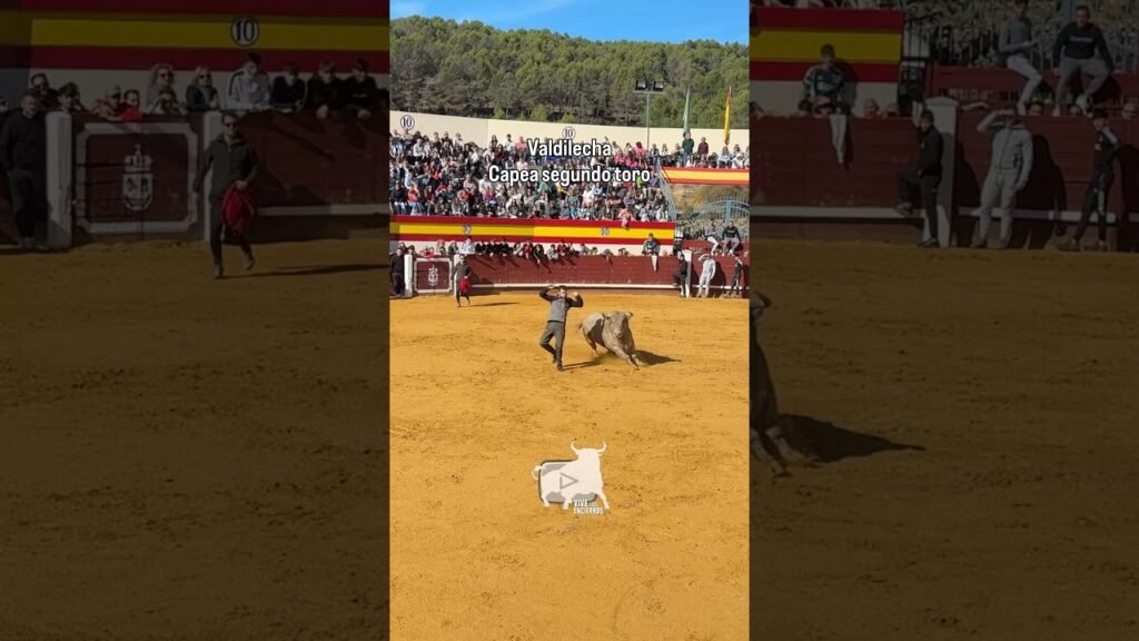 Capea del segundo toro en Valdilecha