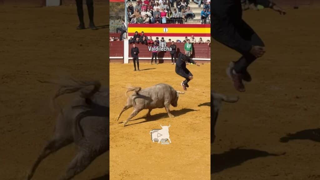 Salto de Chikitín en Valdilecha