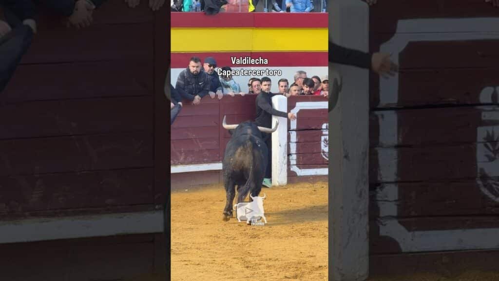 Tercer toro capea Valdilecha parte 1