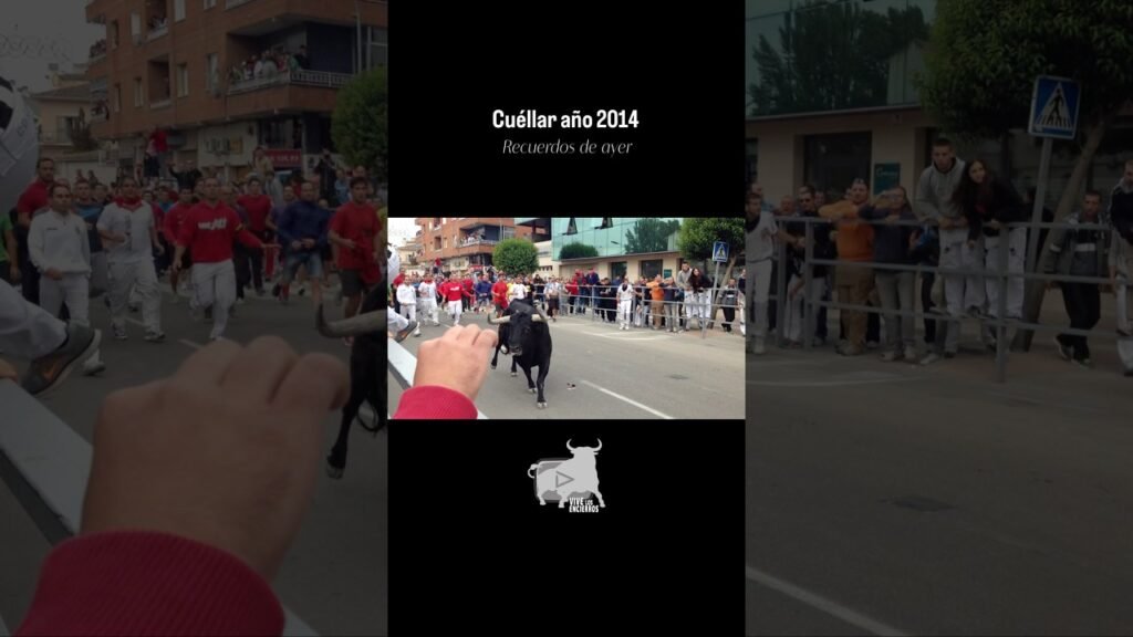 🐂 Encierro Cuéllar 2014 #shorts