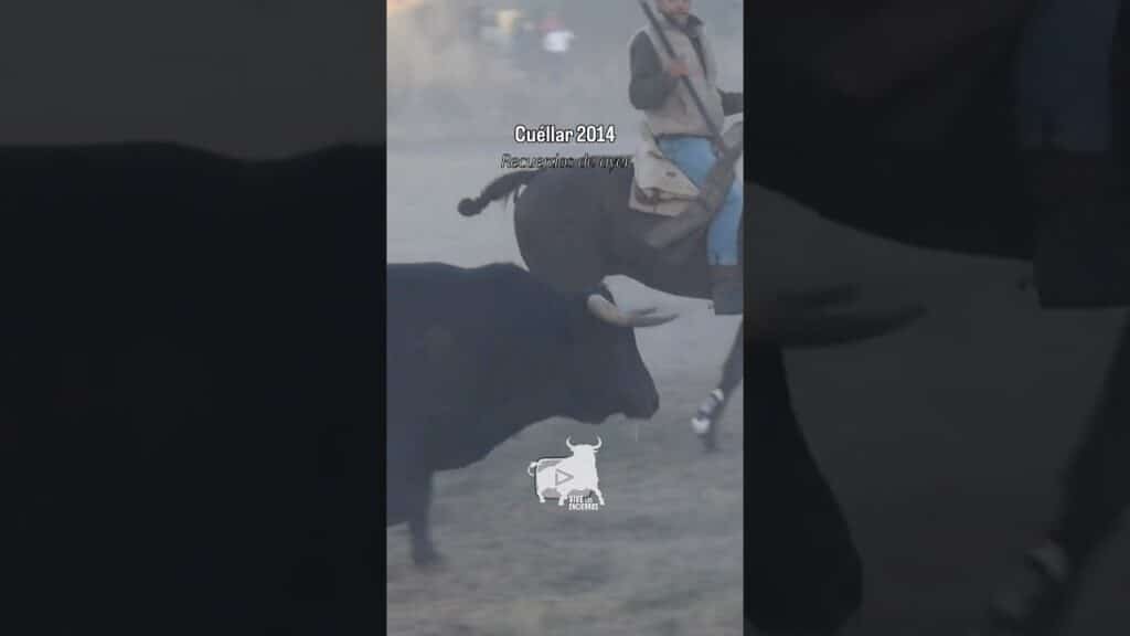 Recuerdos de ayer Cuéllar 2014