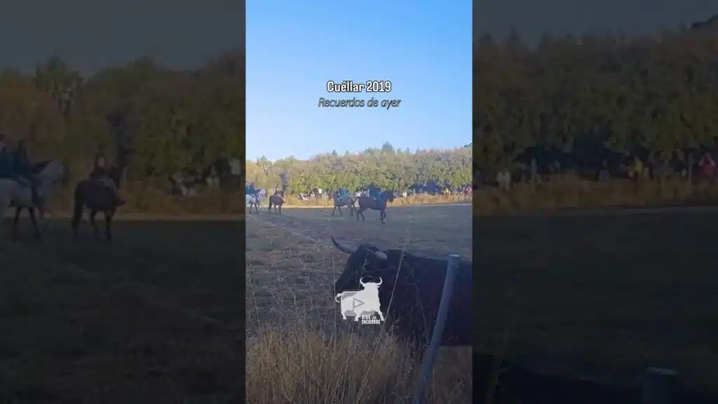 Momento de tensión polígono Cuéllar 2019 #shorts