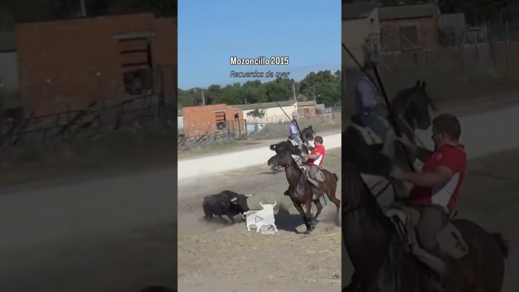 Tres toros dando mucha guerra en Mozoncillo 2015 #shorts