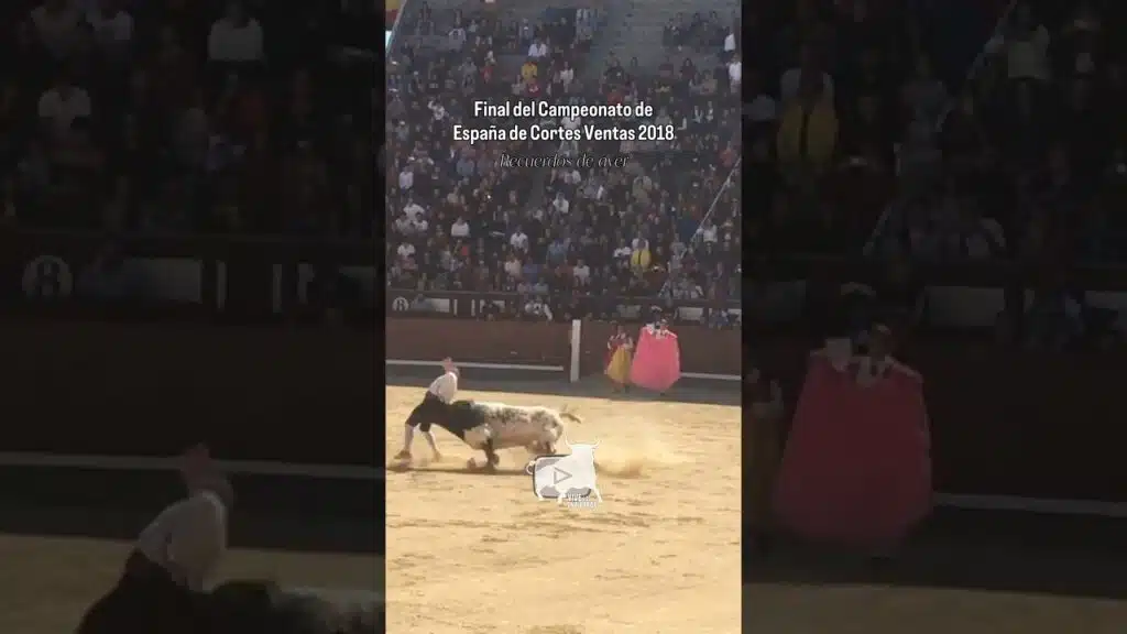 Cogida a USE en la Final del Campeonato de España 2018 #shorts