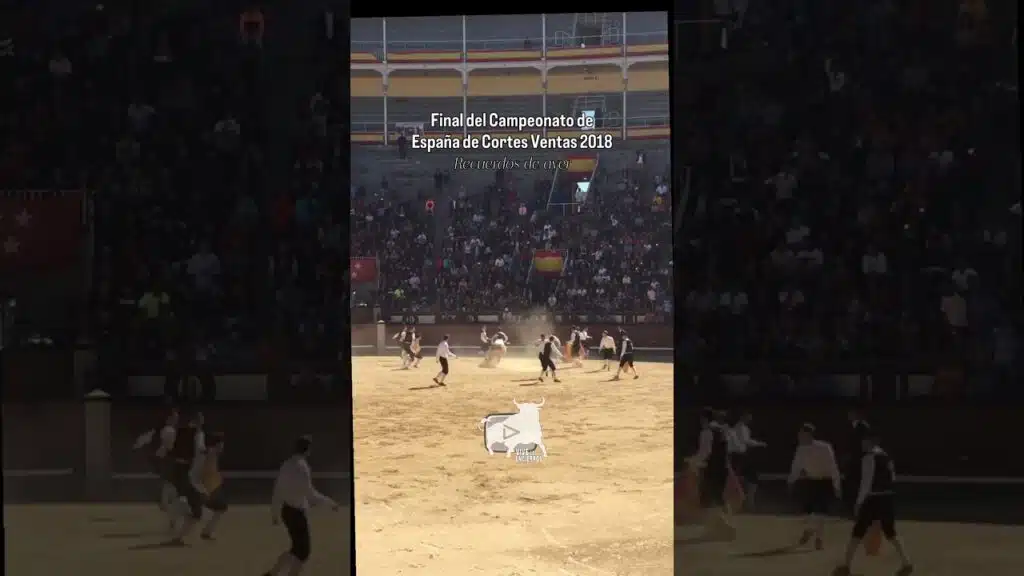 Segunda cogida a USE en el Campeonato de España 2018 #shorts
