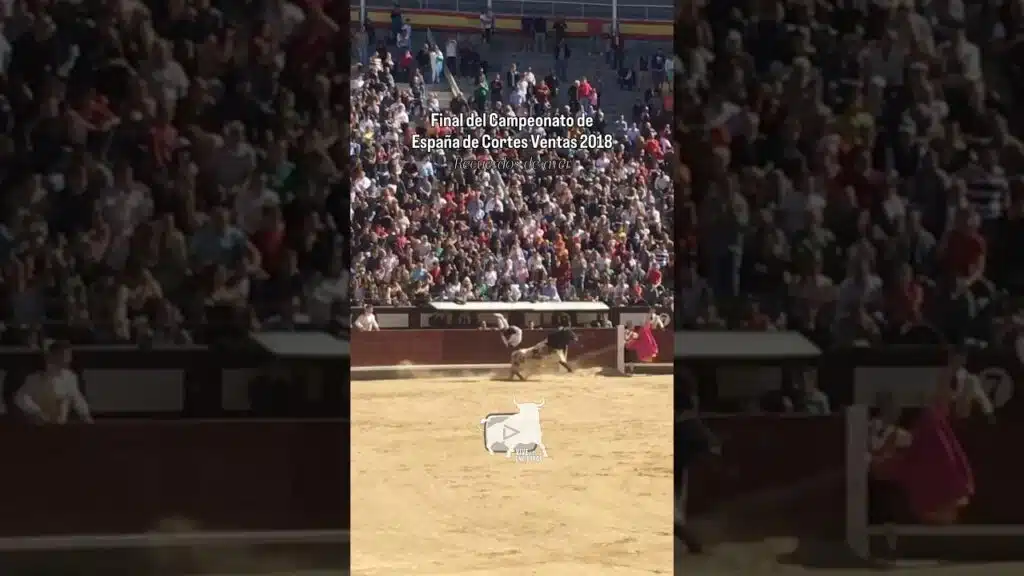 Gran salto de USE en la Final Campeonato de España 2018 #shorts