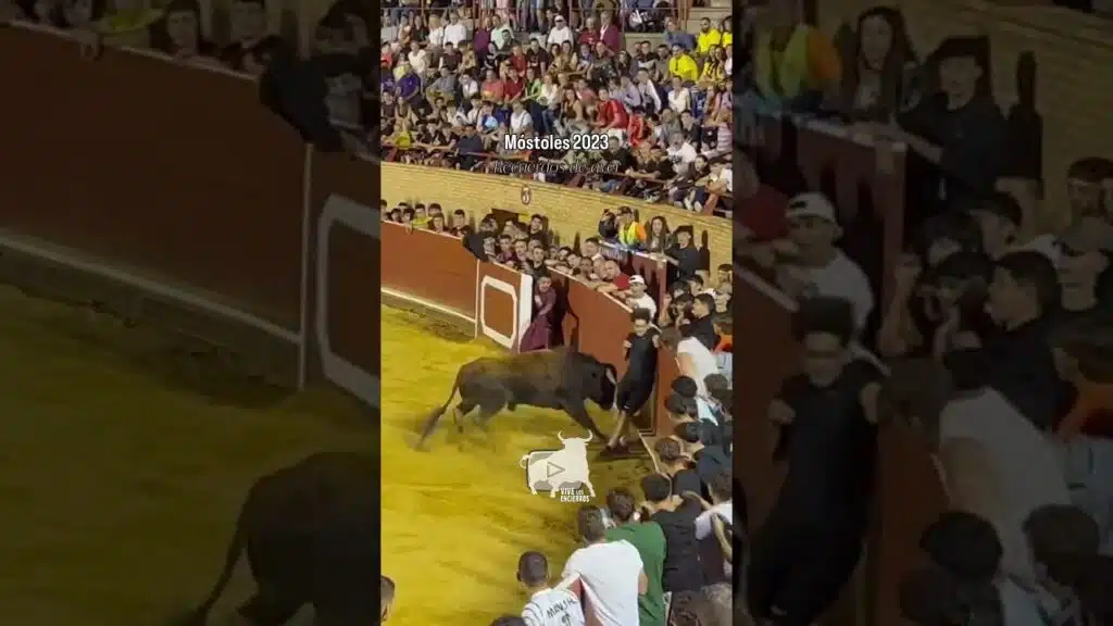 🥵 Buen susto se llevó este mozo en Móstoles 2023 #shorts