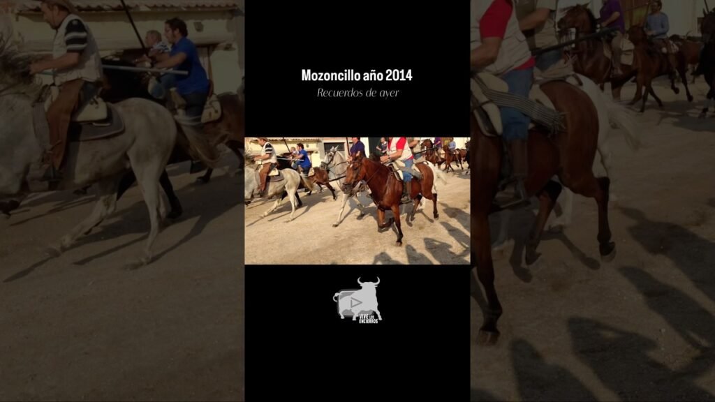 🐂 Embudo encierro Mozoncillo 2014 #shorts