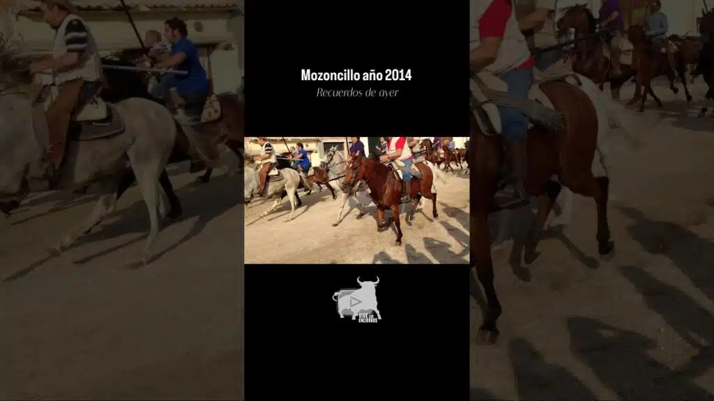 🐂 Embudo encierro Mozoncillo 2014 #shorts