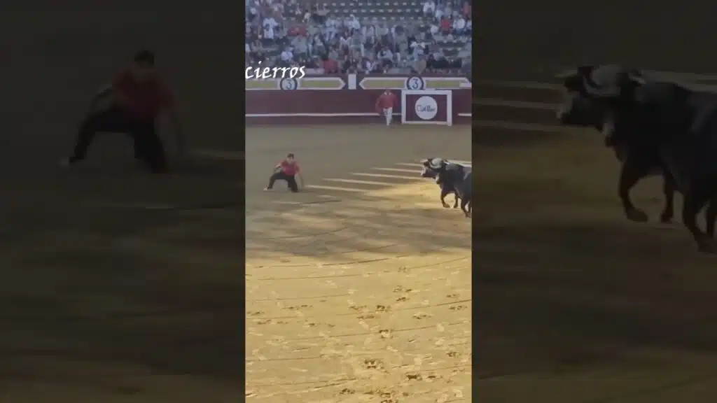 Pastor se cae en la cara de dos toros #shorts