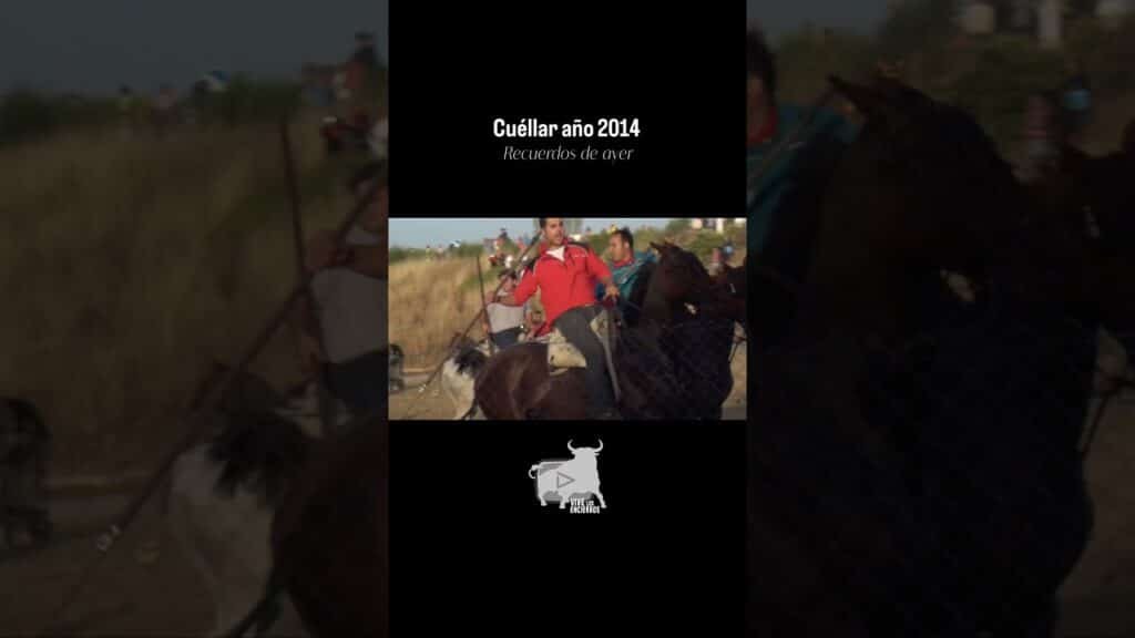 😱 Toro apunto de escapar Cuéllar 2014 #shorts