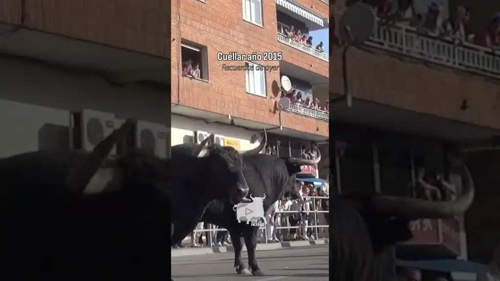 Pedazo de agujas las de estos dos morlacos #shorts