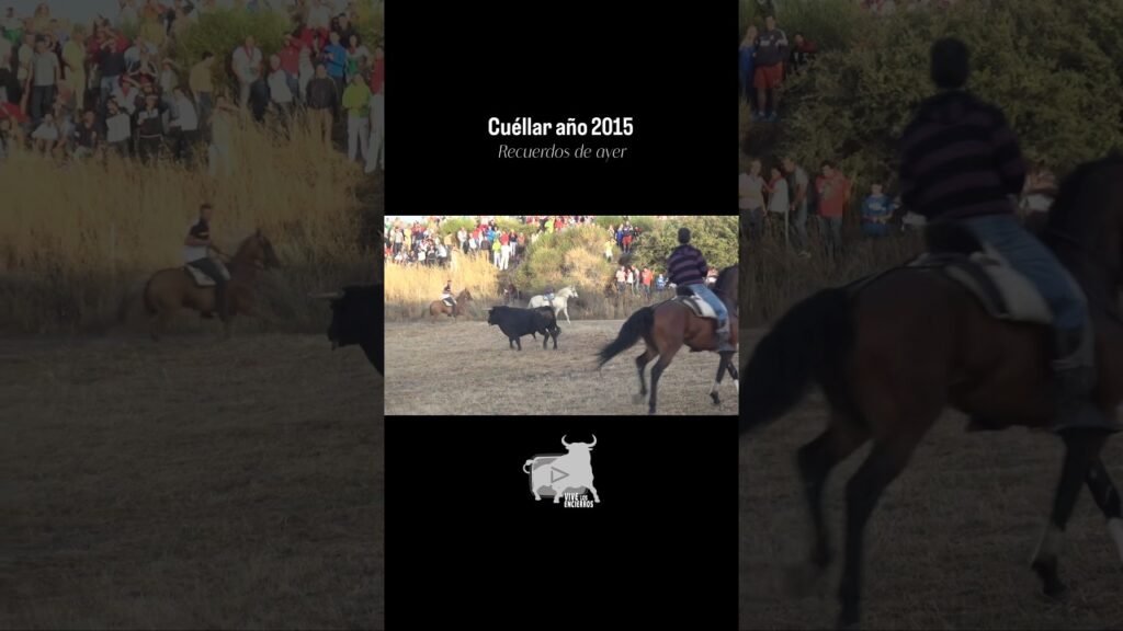 Toro a la fuga Cuéllar 2015 #shorts