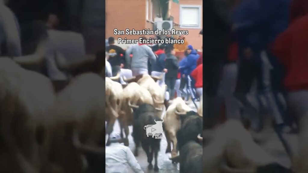 🎥 Primer encierro blanco Sanse #shorts