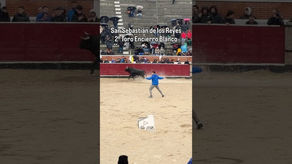 Salida segundo toro Sanse #shorts