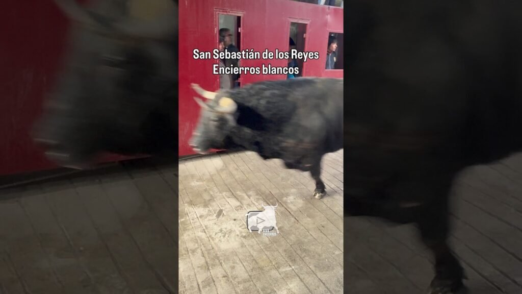Entrada primer encierro blanco Sanse #shorts