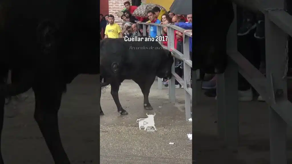 Encierro Cuéllar año 2017 #shorts