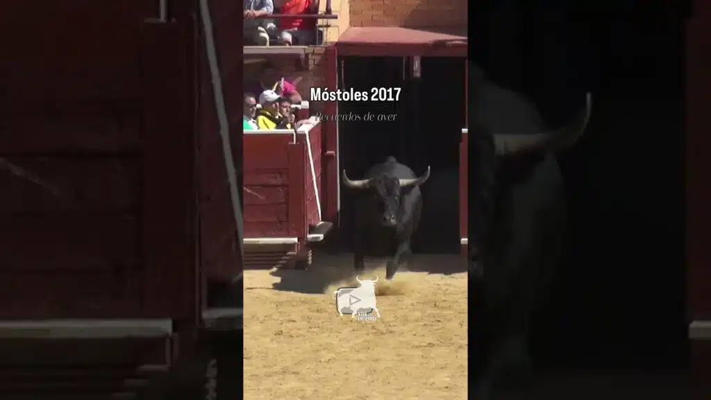 Salida de los toriles Móstoles 2017 #shorts