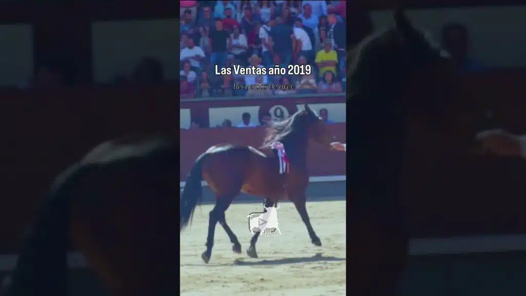 Exhibición ecuestre las Ventas 2019 #shorts