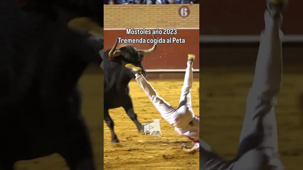 Percance del Peta en Mostoles en 2023 #shorts