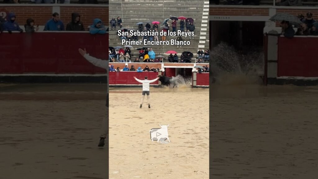 Salida primer toro encierros blancos Sanse #shorts