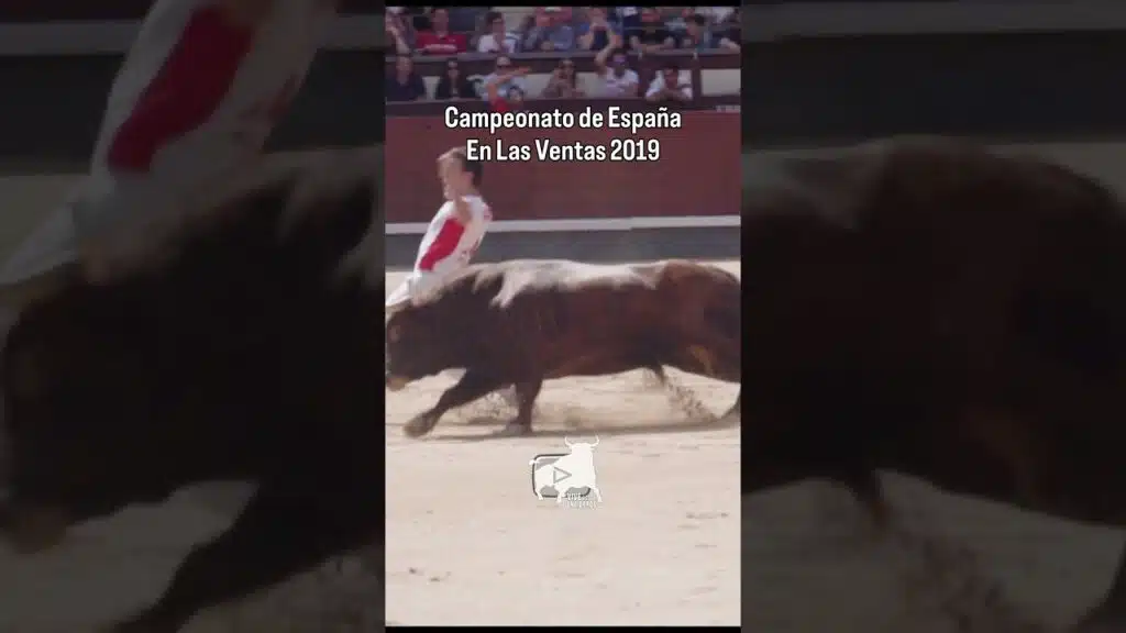 Corte de Zorrillo en las Ventas 2019 #shorts
