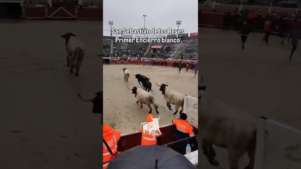 🎥 Entrada del primer encierro blanco Sanse #shorts