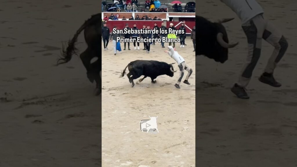 Remix de cortes Sanse #shorts