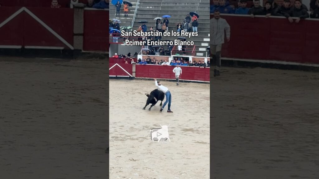 Buen corte en Sanse #shorts