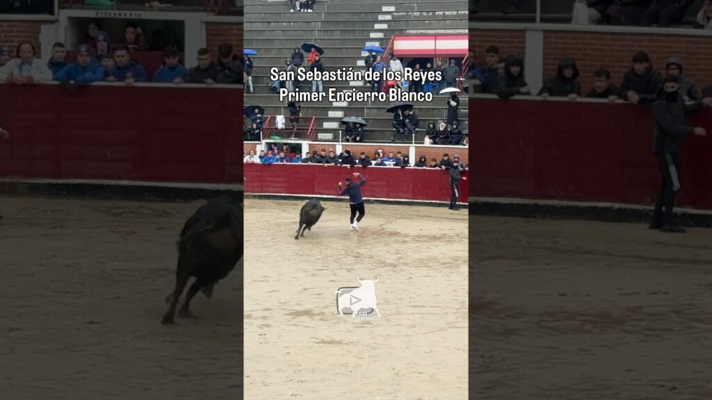 Más cortes al primer toro en Sanse #shorts