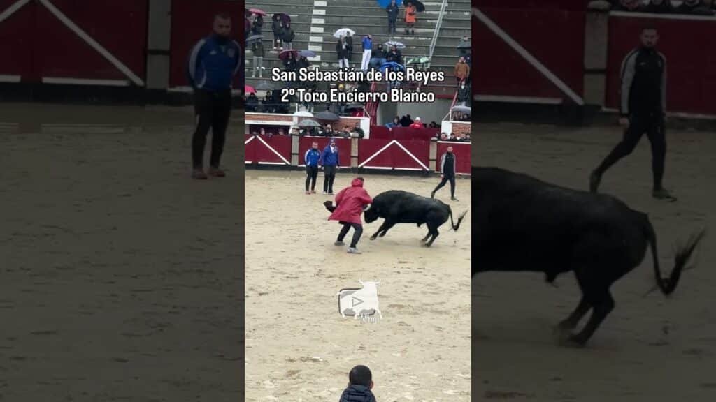 Remix de cortes segundo toro Sanse #shorts