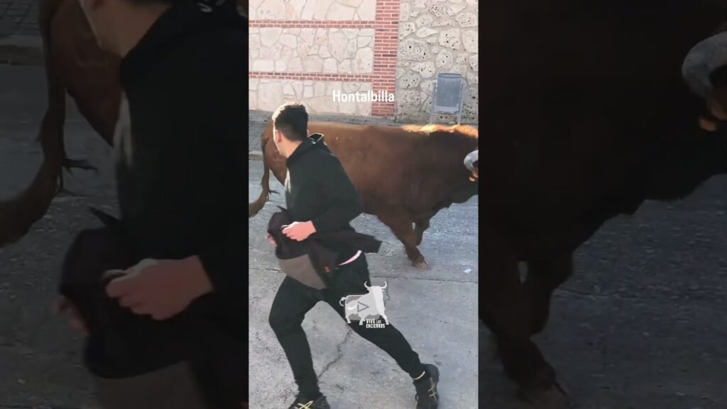 Encierro Hontalbilla parte 1 21-02-26 #shorts