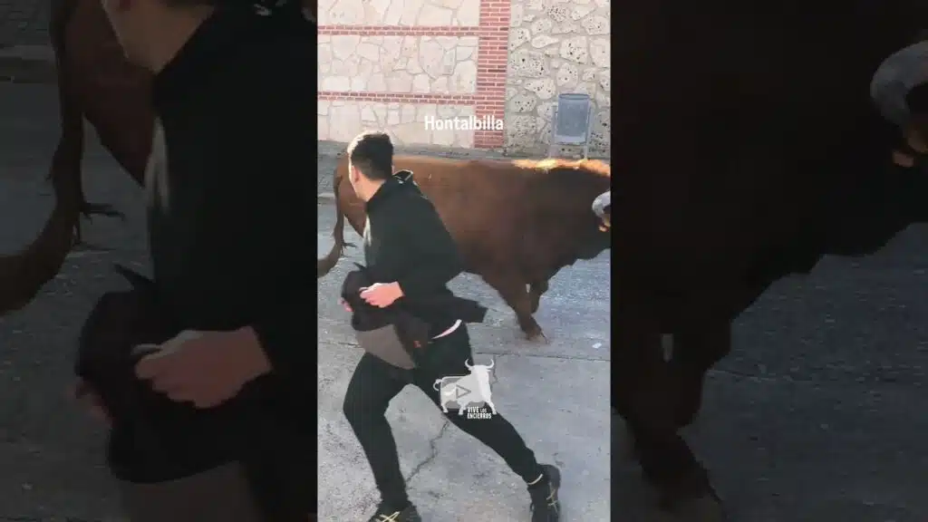 Encierro Hontalbilla parte 1 21-02-26 #shorts