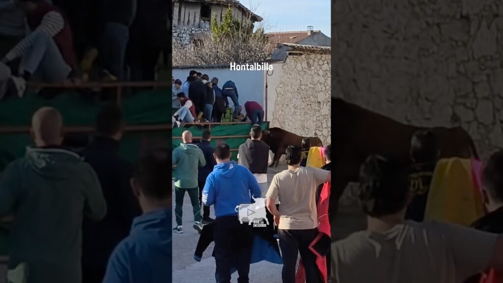 El toro le ayuda a subir a la valla en Hontalbilla #shorts