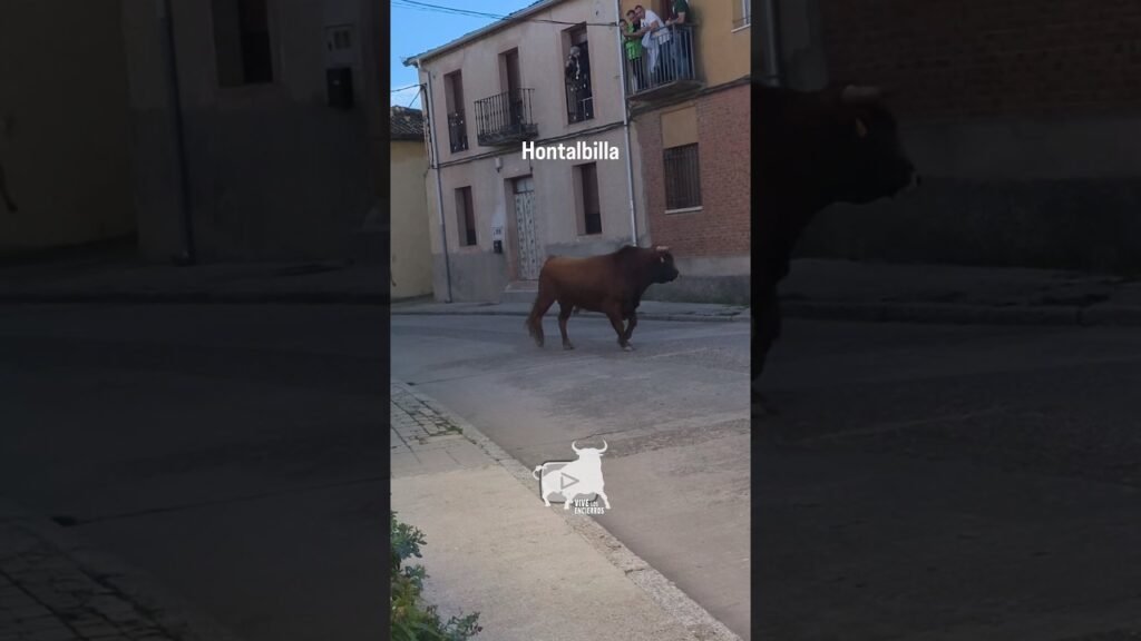 Encierro Hontalbilla Parte 4 #shorts