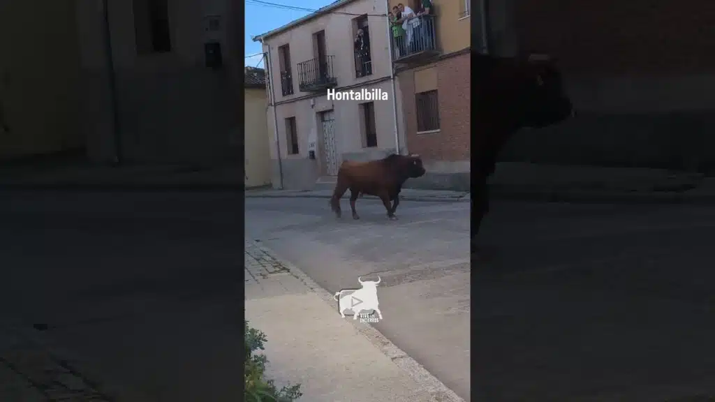 Encierro Hontalbilla Parte 4 #shorts
