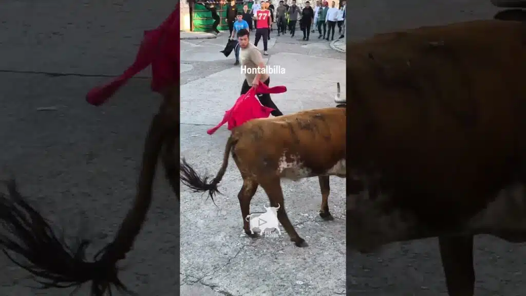 La vaca Duracell Hontalbilla #shorts