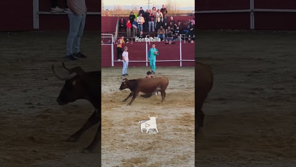 Capea Hontalbilla parte 1 #shorts