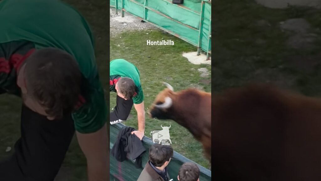 ¡QUE SE ESCAPAN! Hontalbilla #shorts