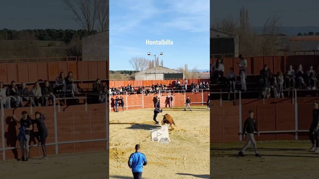 Capea Hontalbilla Parte 2 #shorts