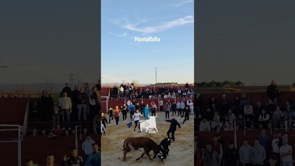 Revolcón de la vaca en Hontalbilla #shorts