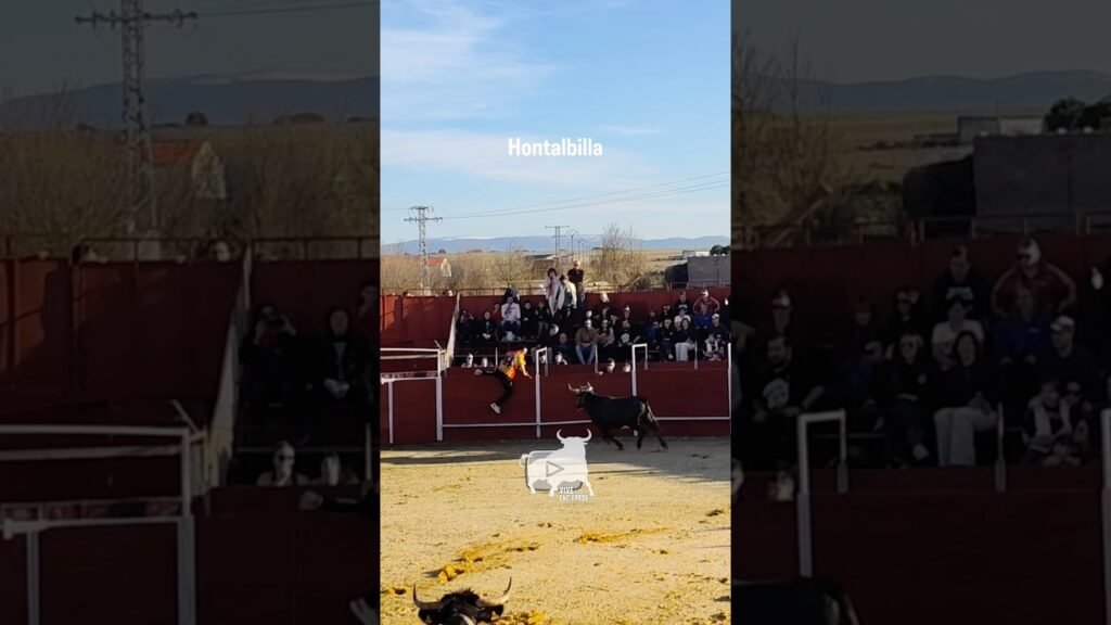 Entrada de la vaca con el mando #shorts